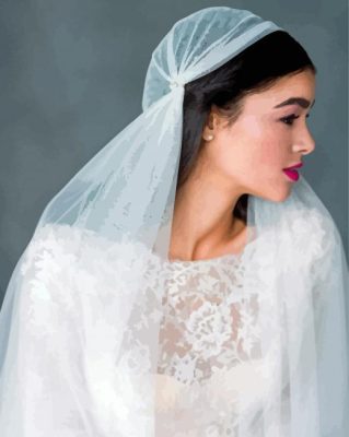 Woman With Lace Wedding Veil Paint By Numbers