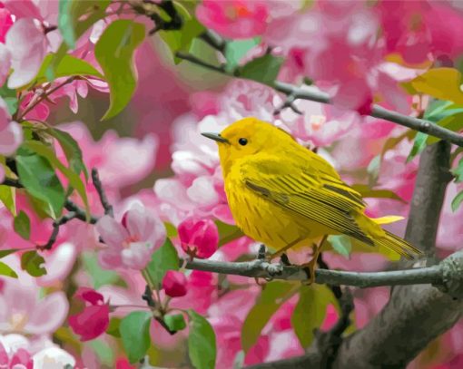 Yellow Warbler In Cherry Blossom Tree Paint By Numbers