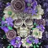 Aeshetic Floral Skull Paint By Numbers