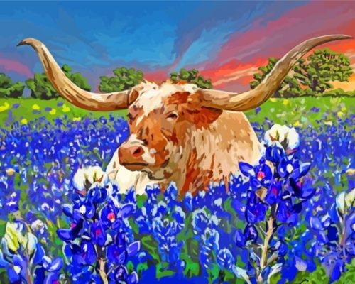 Aesthetic Bluebonnets And Longhorn Art Paint By Numbers