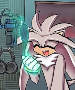 Aesthetic Silver The Hedgehog Paint By Numbers