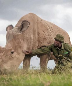 African Rhino Paint By Numbers