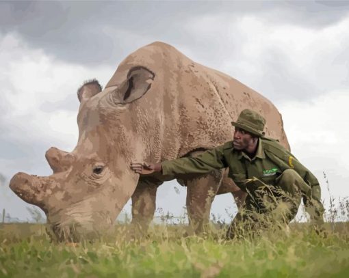 African Rhino Paint By Numbers