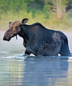 Black Moose In River Paint By Numbers