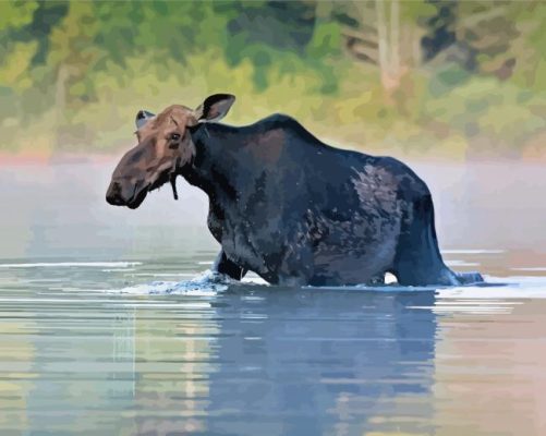 Black Moose In River Paint By Numbers