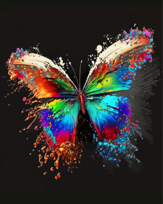 Colorful Butterfly Paint By Numbers