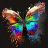 Colorful Butterfly Paint By Numbers