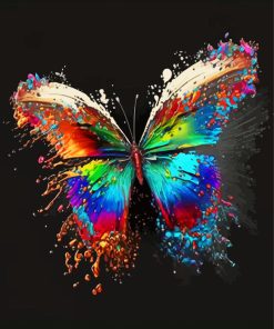 Colorful Butterfly Paint By Numbers