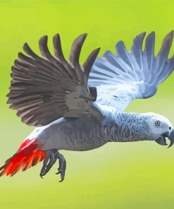 Cool African Gray Parrot Paint By Numbers