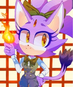 Cool Blaze The Cat Paint By Numbers