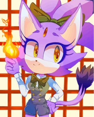 Cool Blaze The Cat Paint By Numbers