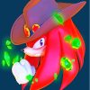 Cool Knuckles The Echidna Paint By Numbers