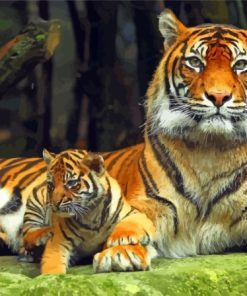 Cub And Tiger Paint By Numbers