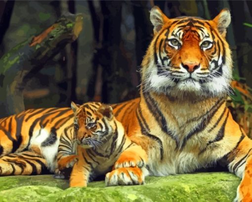 Cub And Tiger Paint By Numbers