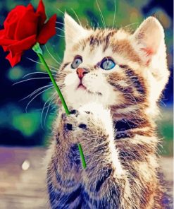 Cute Cat And Rose Paint By Numbers