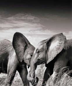 Elephants Couple Black And White Wildlife Paint By Numbers