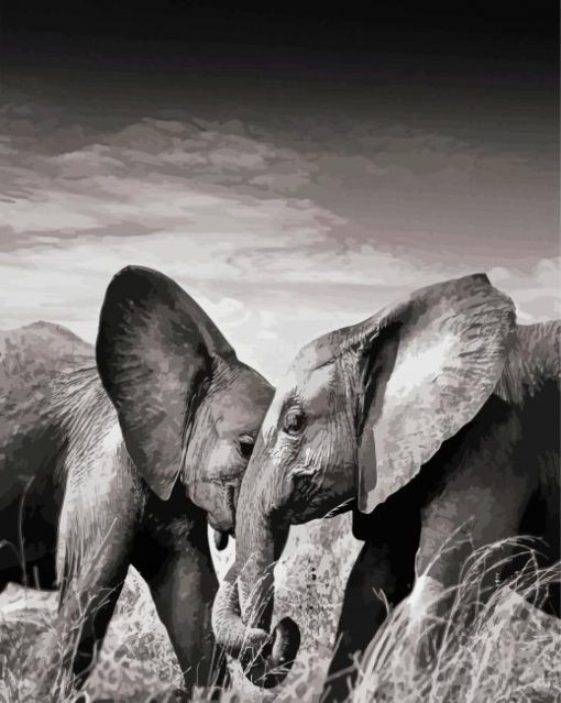 Elephants Couple Black And White Wildlife Paint By Numbers