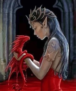 Elf And Red Dragon Paint By Numbers