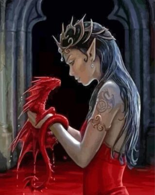 Elf And Red Dragon Paint By Numbers