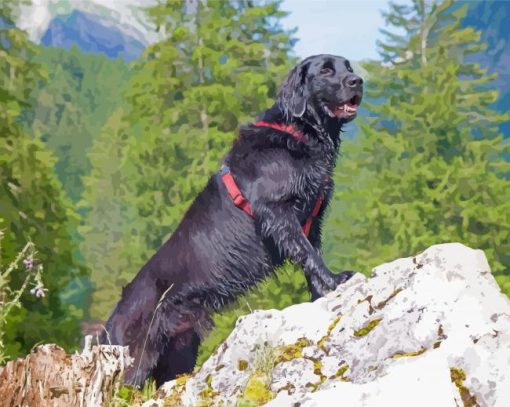 Flat Coated Retriever Dog Paint By Numbers