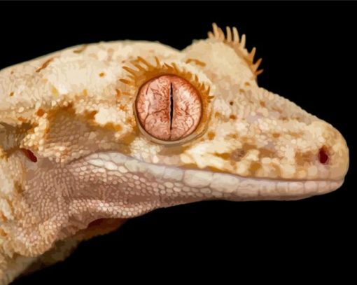 Lilly White Crested Gecko Reptile Paint By Numbers