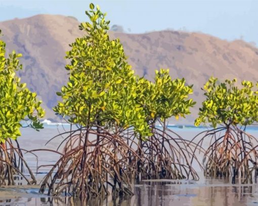 Mangrove Trees Paint By Numbers