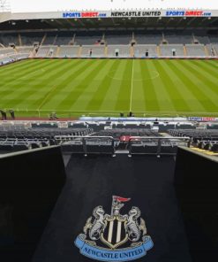 St James Park Newcastle Stadium Paint By Numbers