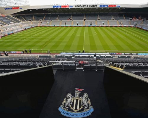 St James Park Newcastle Stadium Paint By Numbers