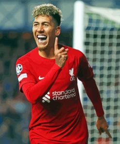 The Football Player Roberto Firmino Paint By Numbers