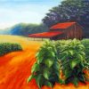 Tobacco Barn And Field Art Paint By Numbers