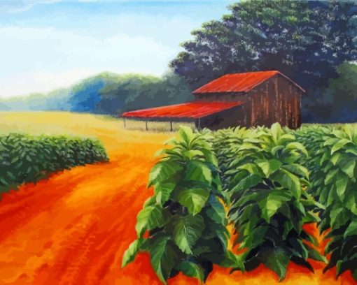 Tobacco Barn And Field Art Paint By Numbers