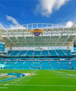 USA Florida Hard Rock Stadium Paint By Numbers