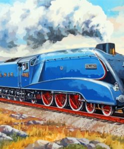 Vintage Mallard Train Paint By Numbers