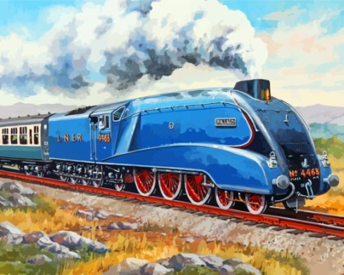 Vintage Mallard Train Paint By Numbers