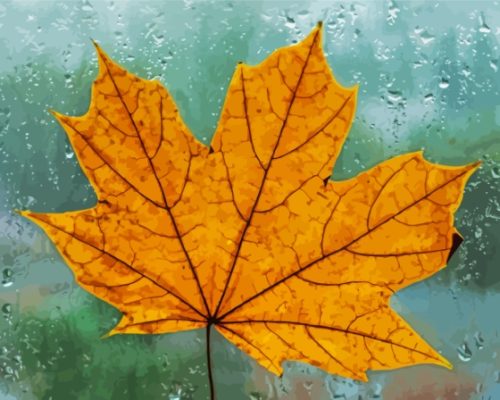 Yellow Maple In The Rain Paint By Numbers