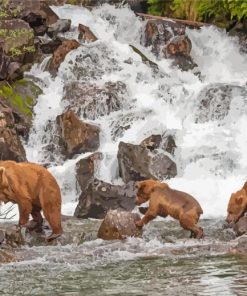 Alaska Grizzly Bears In Waterfall Paint By Numbers