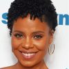 American Actress Sanaa Lathan Paint By Numbers