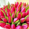 Basket Of Pink Tulips Paint By Numbers