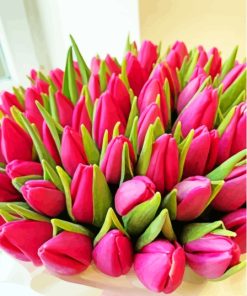 Basket Of Pink Tulips Paint By Numbers