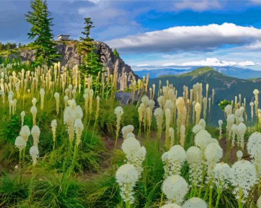 Beargrass Plants Meadow Paint By Numbers