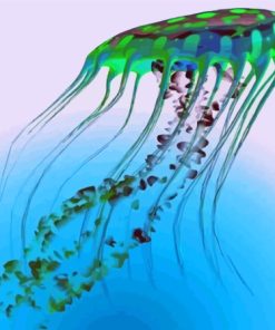 Blue And Green Jellyfish Paint By Numbers