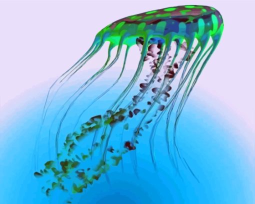 Blue And Green Jellyfish Paint By Numbers