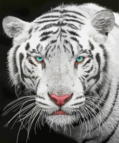 Blue Eyes Tiger Paint By Numbers