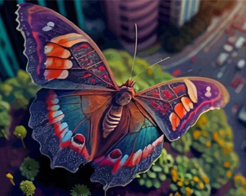 Butterfly Paint By Numbers