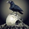 Crow And Skull Paint By Numbers