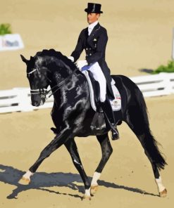 Dressage Horse Man Paint By Numbers