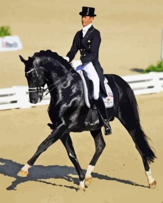 Dressage Horse Man Paint By Numbers