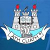 Dublin Gaa Team Logo Paint By Numbers