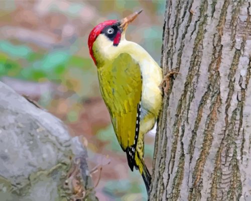 European Woodpecker Green Bird Paint By Numbers