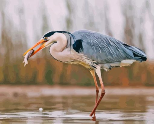 Grey Herron Paint By Numbers